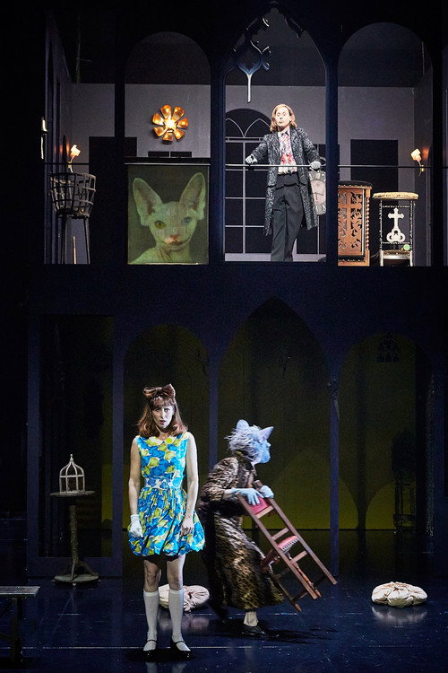 Lewis versus Alice Poster