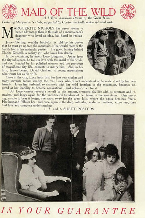 The Maid of the Wild Poster