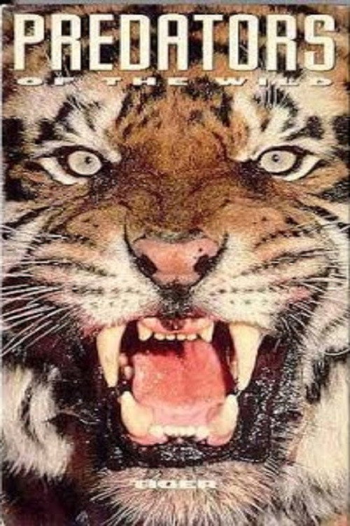 Predators of the Wild: Tiger Poster