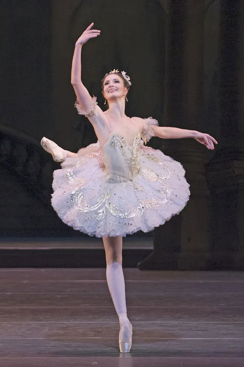 The Sleeping Beauty Poster