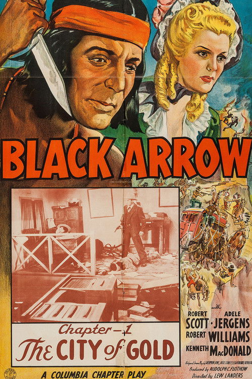 Black Arrow Poster