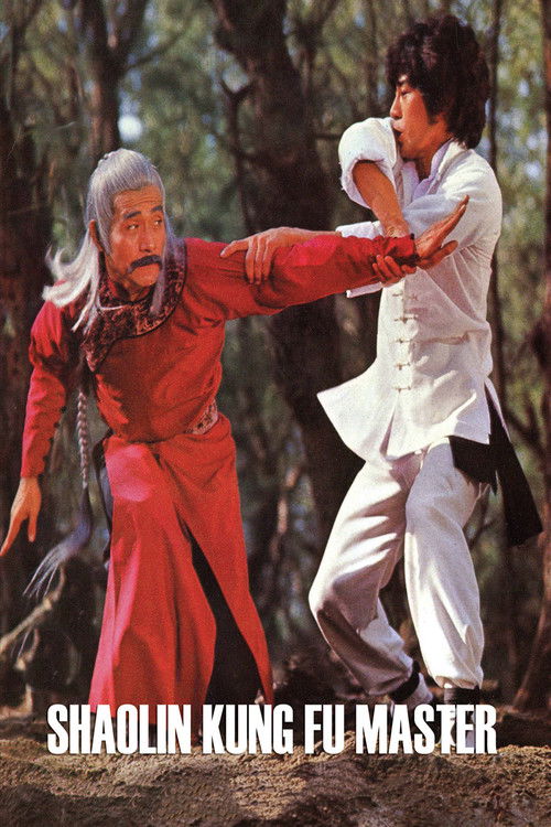 Shaolin Kung Fu Master Poster