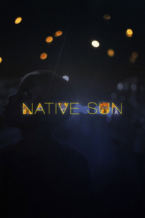Native Sun Poster