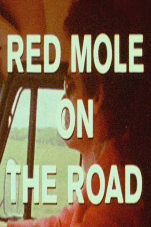 On the Road with Red Mole Poster