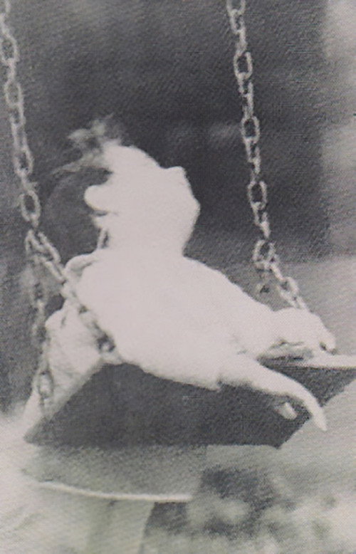 Um Estranho Sorriso Poster