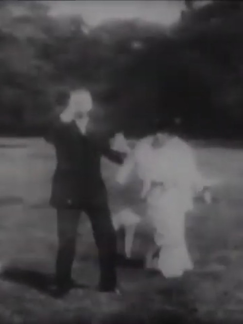 Poison or Whiskey Poster