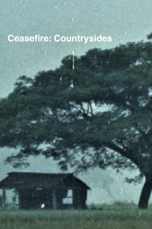 Ceasefire: Countrysides Poster