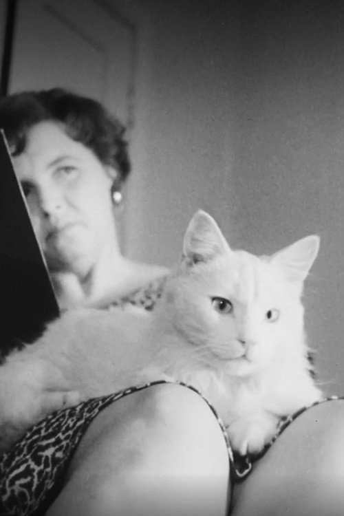 Sõnadeta lugu Poster