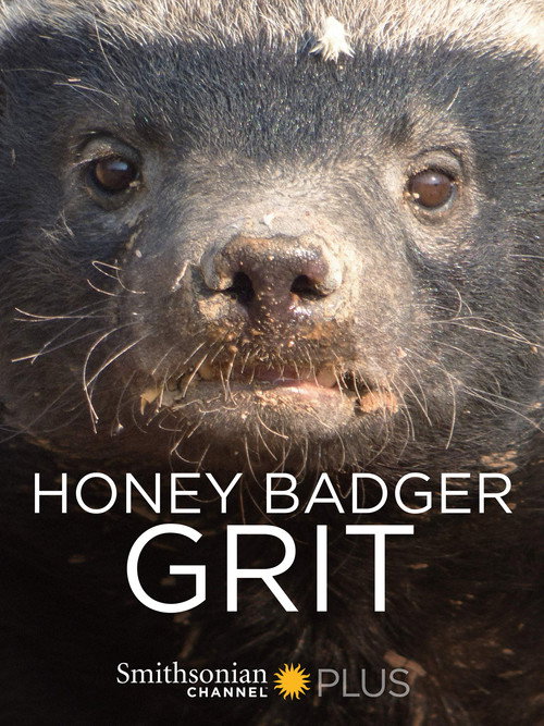 Honey Badger: Grit Poster