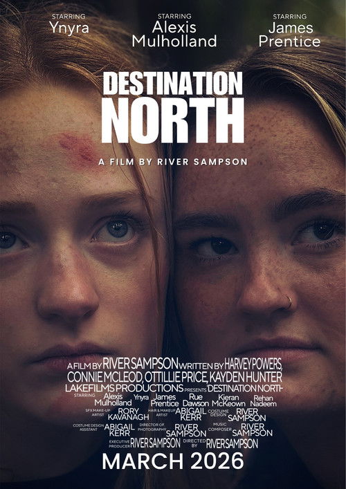 Destination North Poster