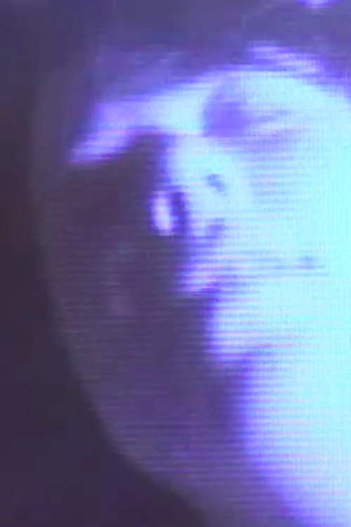 The Drama of the Gifted Child Poster