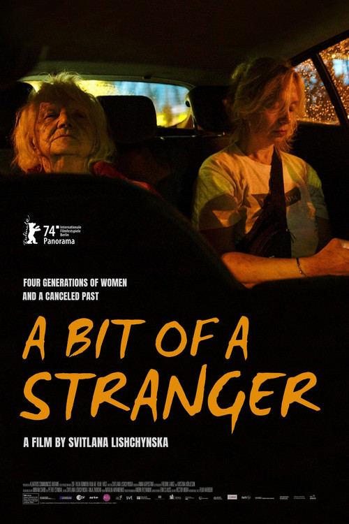 A Bit of a Stranger Poster