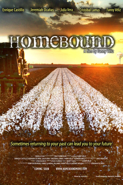 Homebound Poster