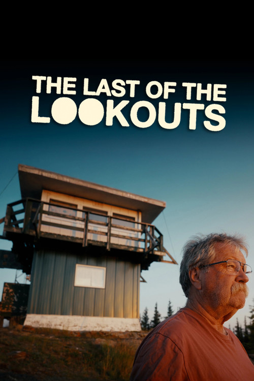 The Last of the Lookouts Poster