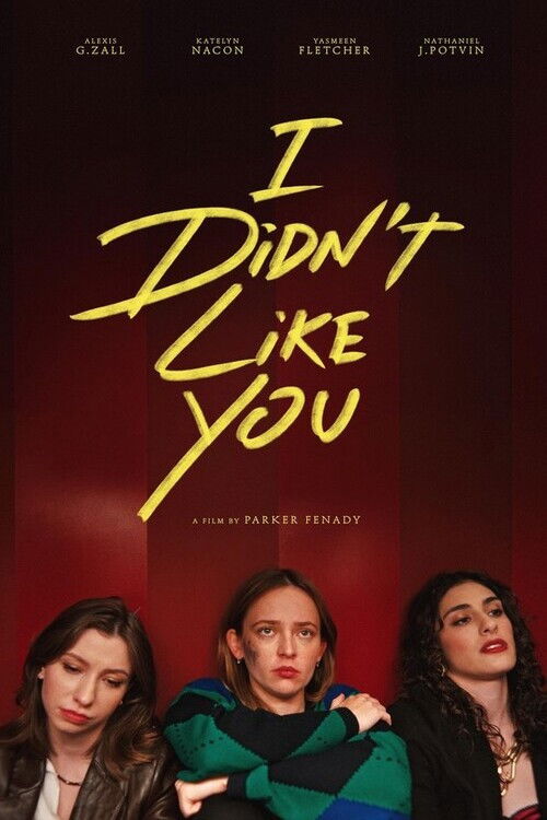 I Didn't Like You Poster