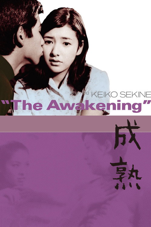 The Awakening Poster