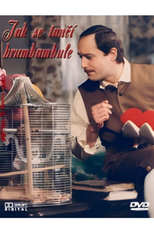 Jak se tančí brumbambule Poster