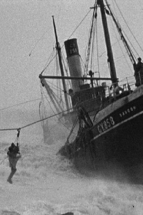 The Latrabjarg Rescue Poster