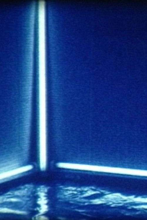 FIRST SIGHT OF VIEW Poster