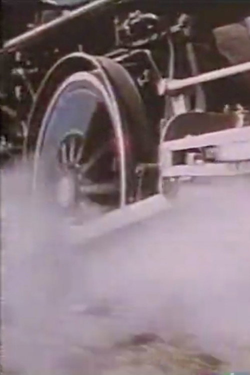 The West Is Alive Poster