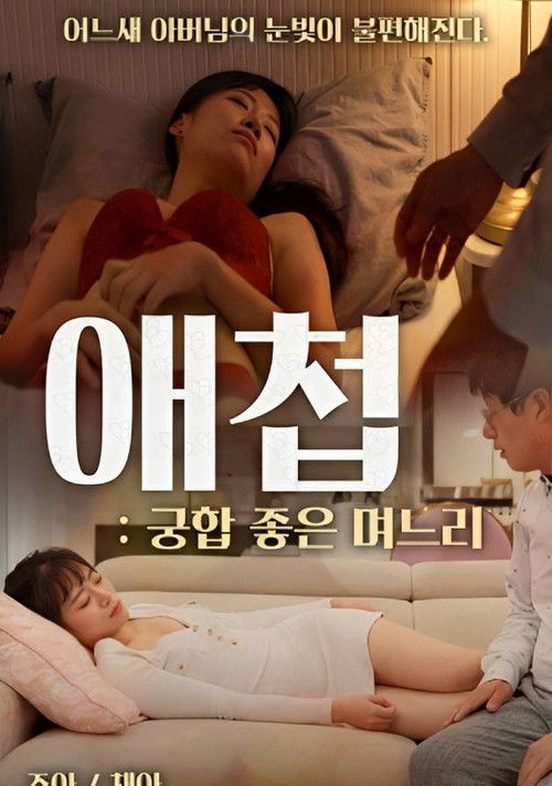 Concubine: Daughter-in-law With Good Compatibility Poster