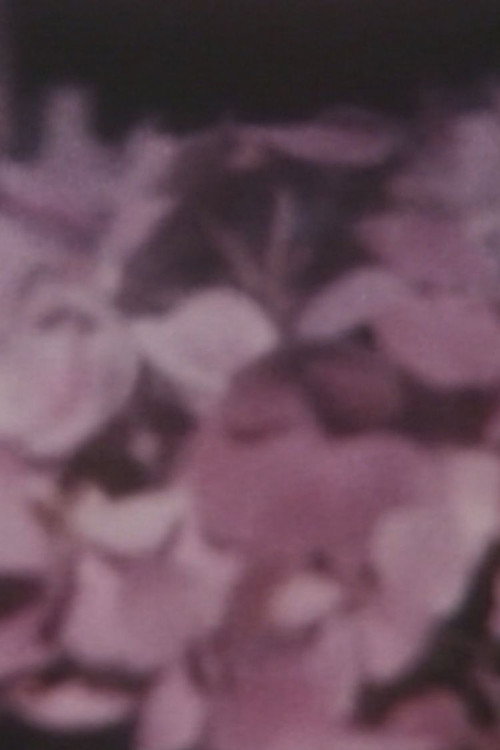 TOKIMEKI, DOKKIN Poster