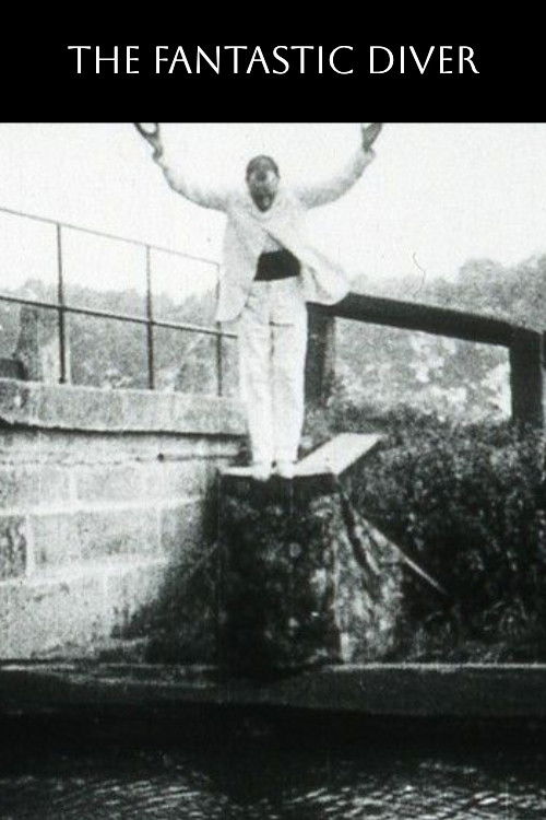 The Fantastic Plunger Poster