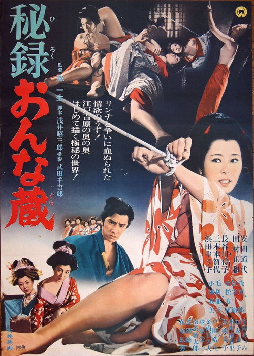 Secret Report From A House Of Women Poster