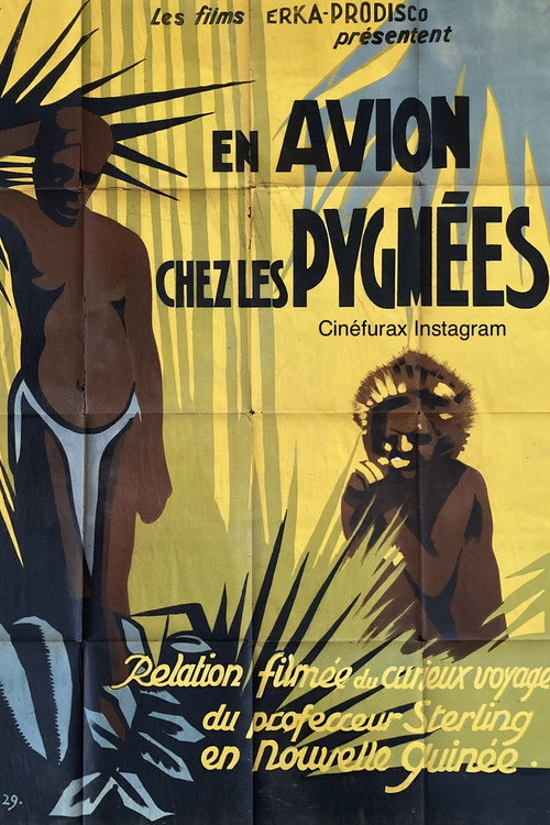 Adventures in Pygmy Land Poster