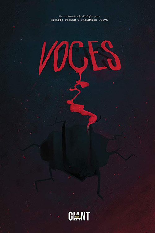 Voices Poster