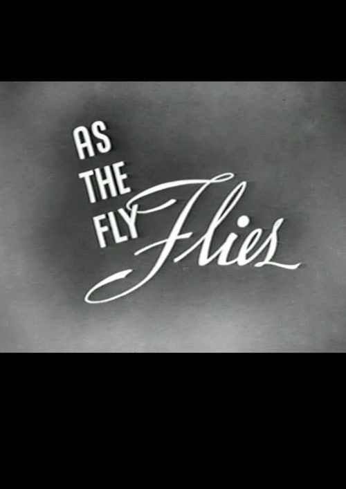 As the Fly Flies Poster