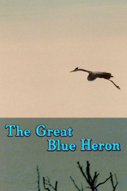 The Great Blue Heron Poster