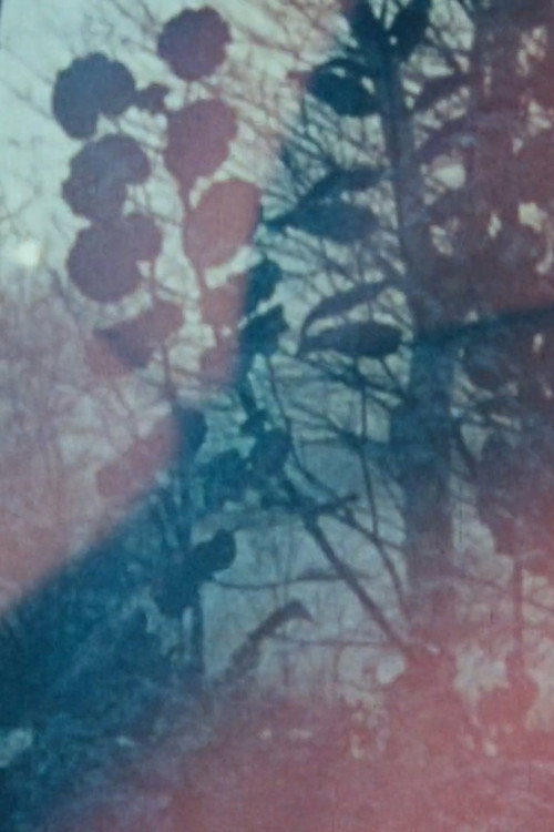 Lovetape Film Poster