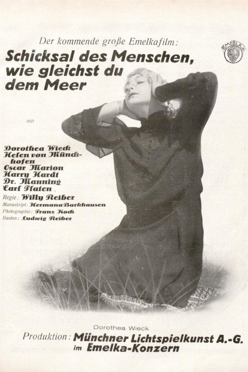 Sturmflut Poster