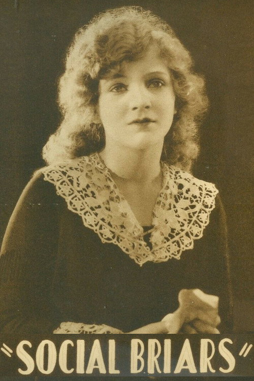 Social Briars Poster