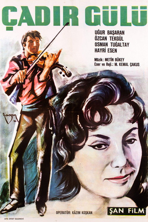 Çadır Gülü Poster