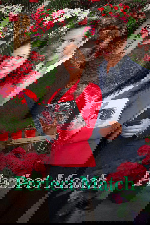 Perfect Match Poster