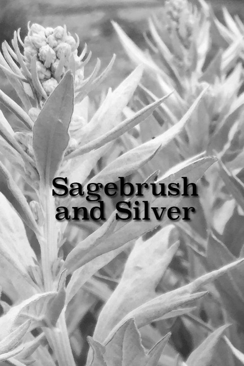 Sagebrush and Silver Poster
