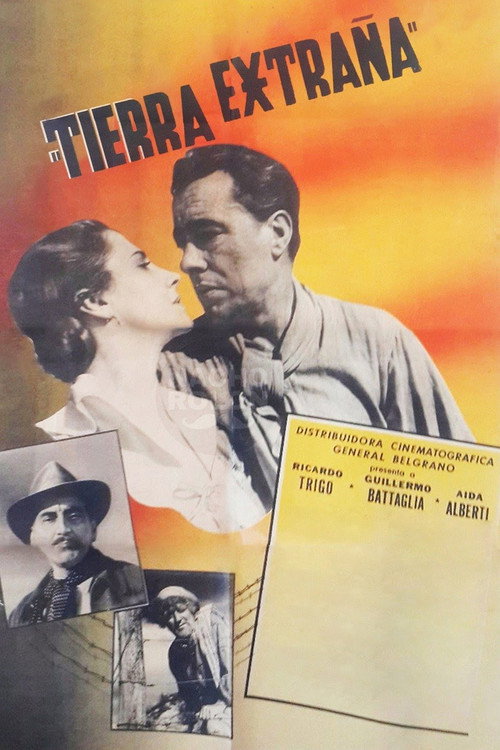 Tierra extraña Poster