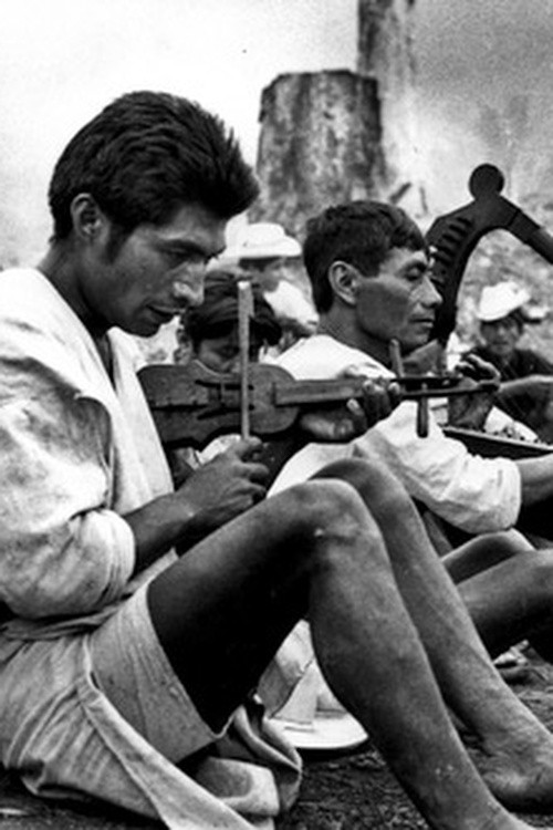 Tajimoltik: Five Days Without Name Poster