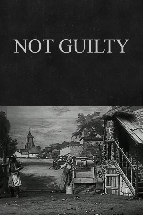Not Guilty Poster