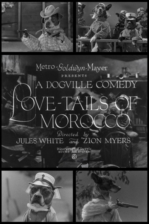 Love-Tails of Morocco Poster