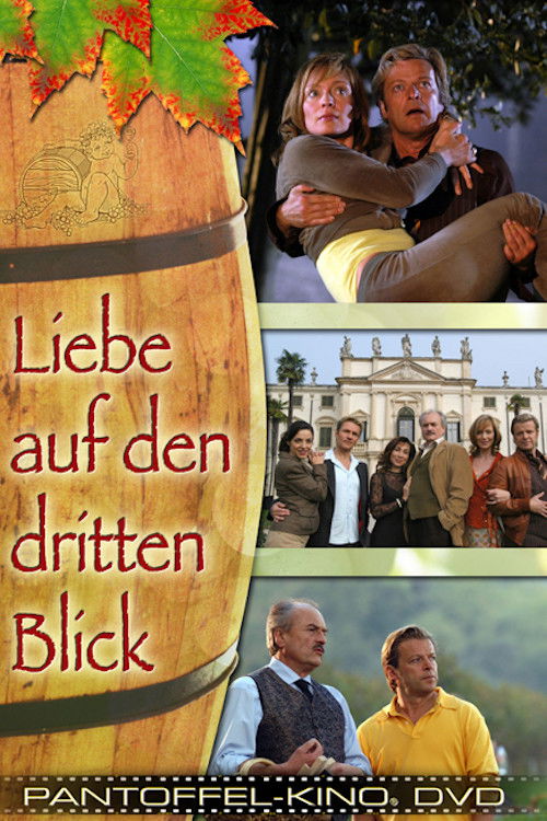 Liebe auf den dritten Blick Poster