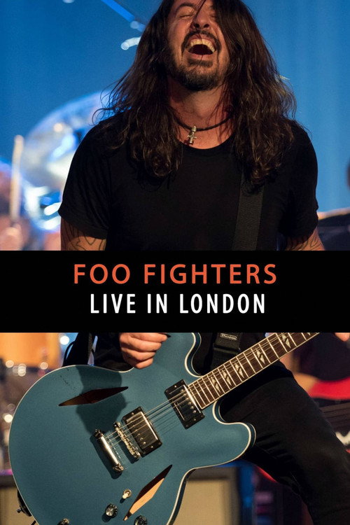 Foo Fighters - Live in London Poster