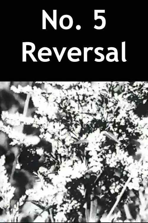 No. 5 Reversal Poster