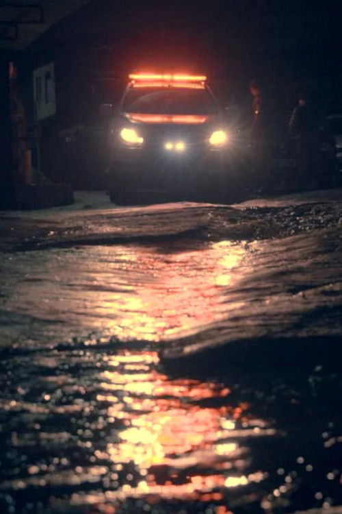 Patrulha Maria da Penha Poster