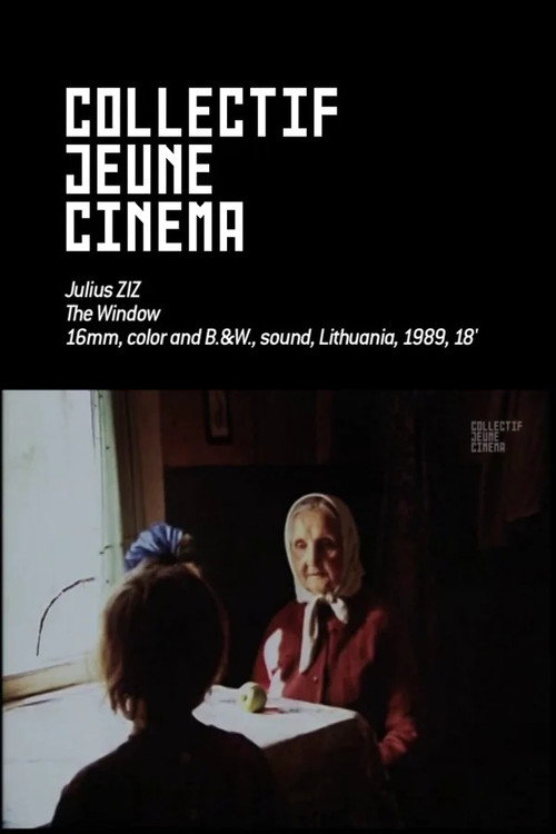 The Window Poster