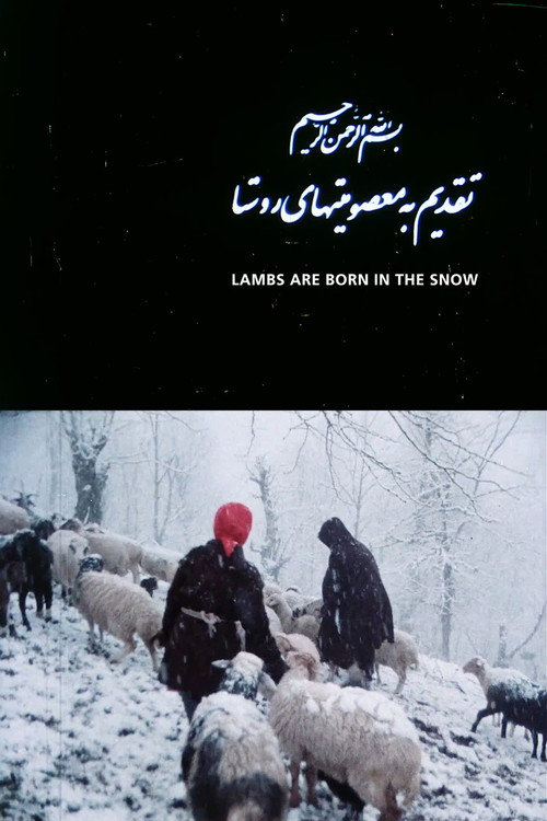 Lambs Are Born in the Snow Poster