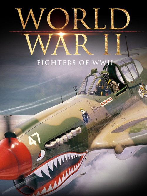 Fighters of WWII Poster