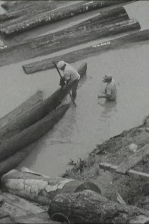 Visión de la selva Poster